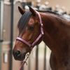 Imperial Riding Halfter IRHClassic Sport