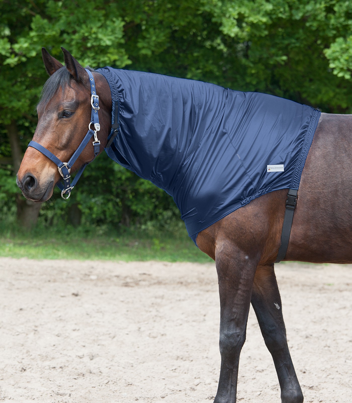 Waldhausen Ekzemer Halsteil