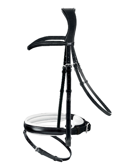 Passier Springtrense Marcus Ehning II, Spezial