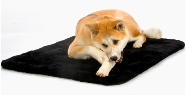 Christ Hundedecke Sheepy