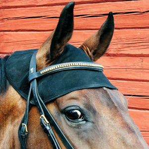 BACK ON TRACK Genickschoner