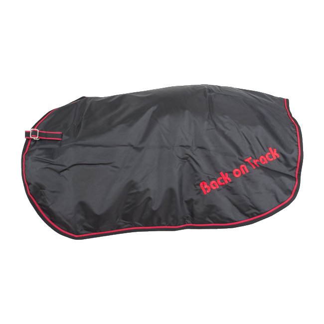 BACK ON TRACK Nierendecke