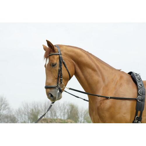 Ausbindezügel Imperial Elastik