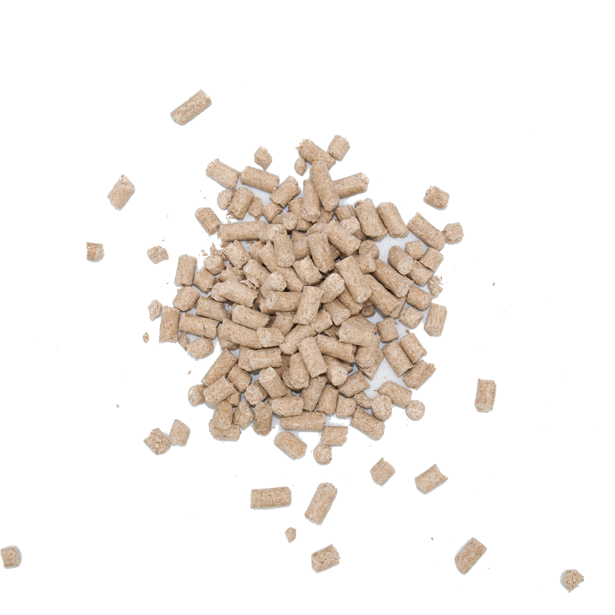 Ruppiner Biotin Hufrepair - 1.5kg