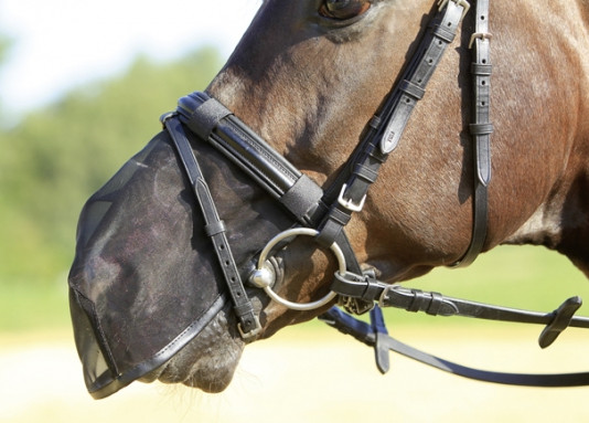 Busse Nüsternschutz Fly Protector