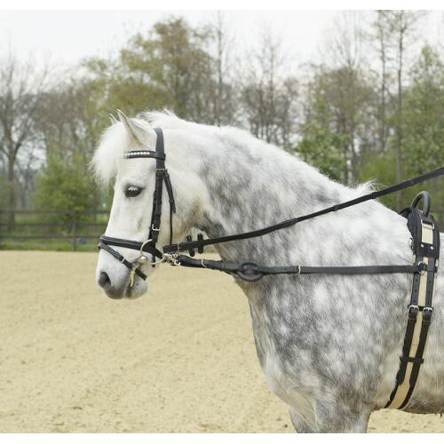Ausbindezügel Basic
