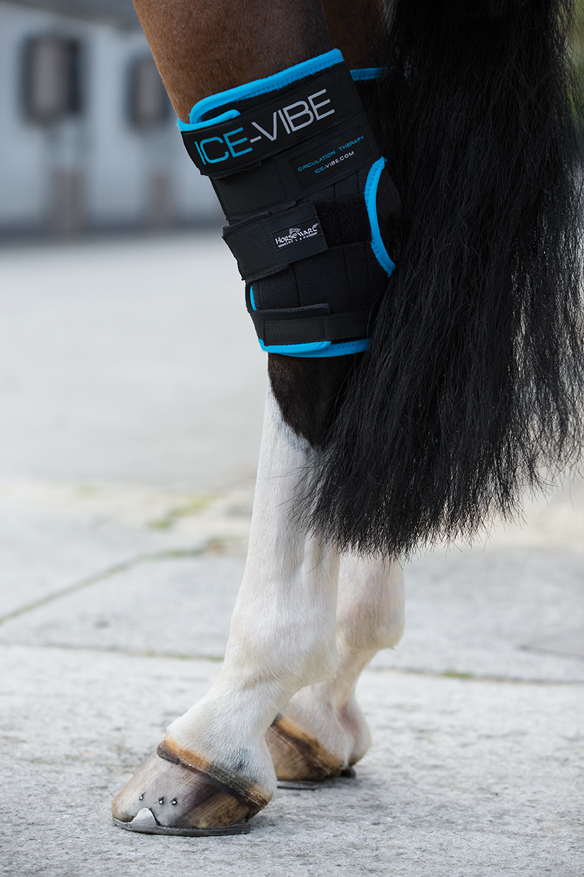 Horseware ICE-VIBE Vibrationstechnologie Sprunggelenksschoner - Hock Wrap
