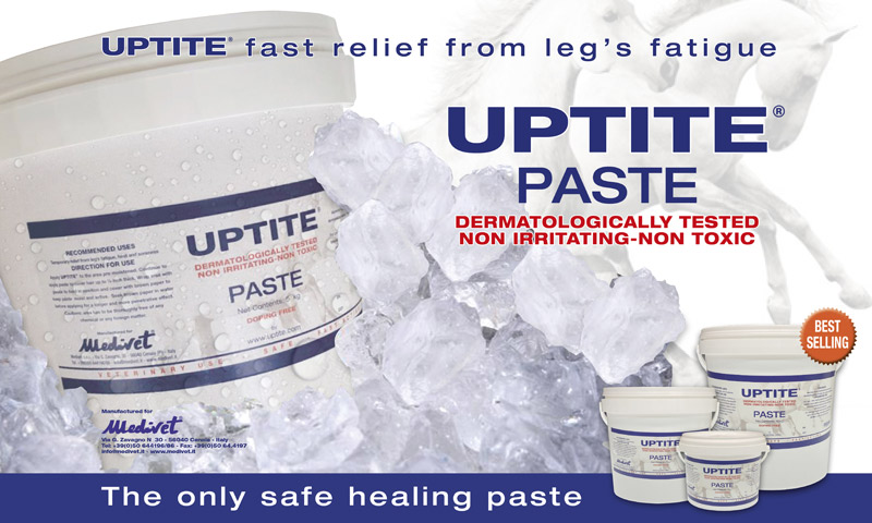 Medivet uptite Paste 10kg