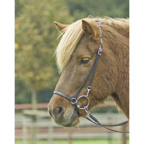 Busse Kopfstück TRAINING-ICE schwarz/Edelstahl Island