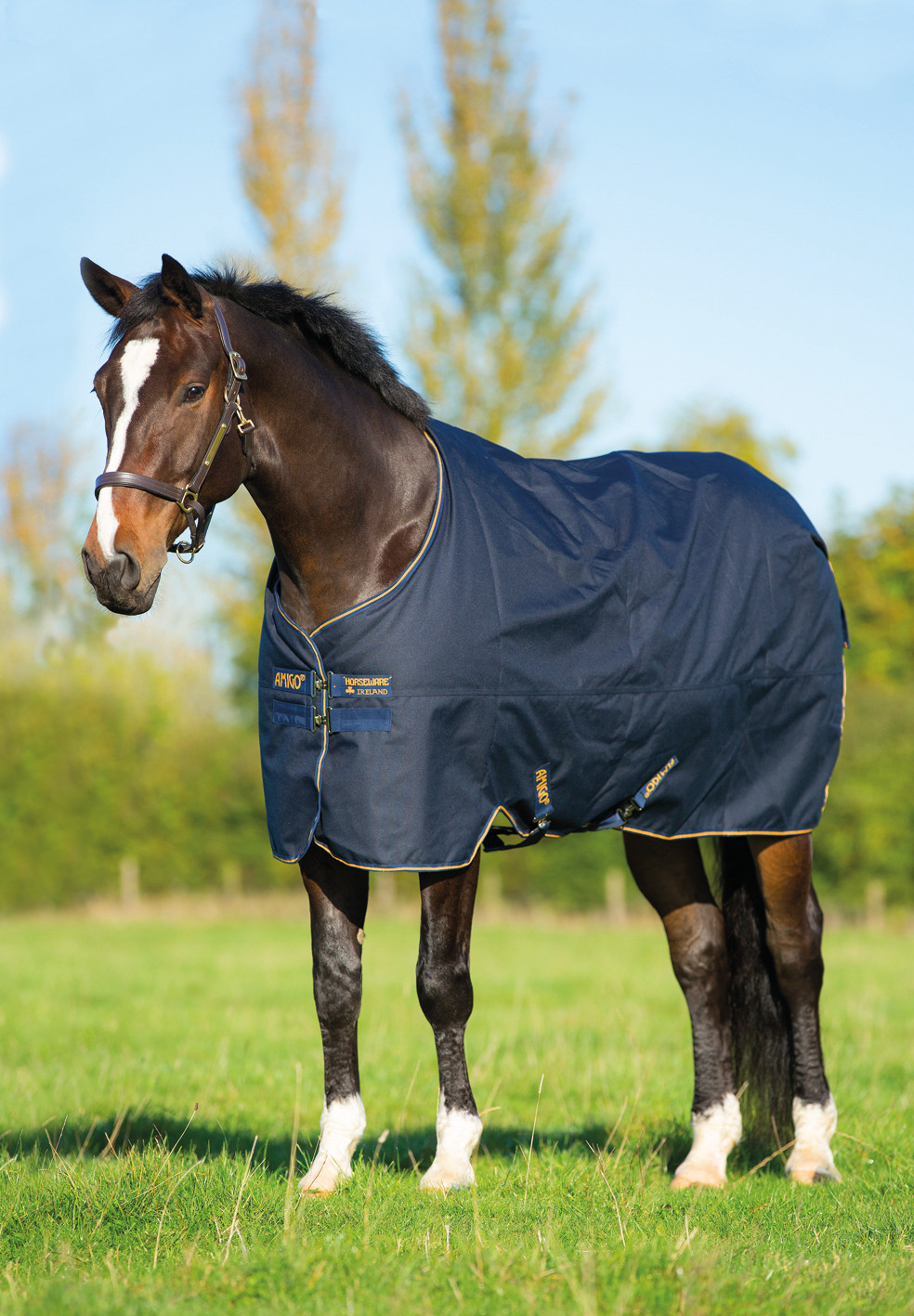 Horseware Amigo Bravo XL Medium 250g