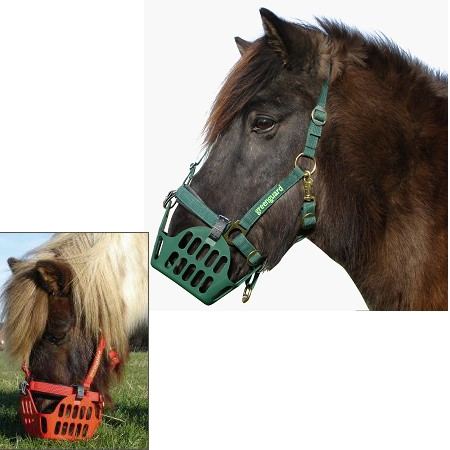 Greenguard® Set - Fressstopp Maulkorb mit Halfter