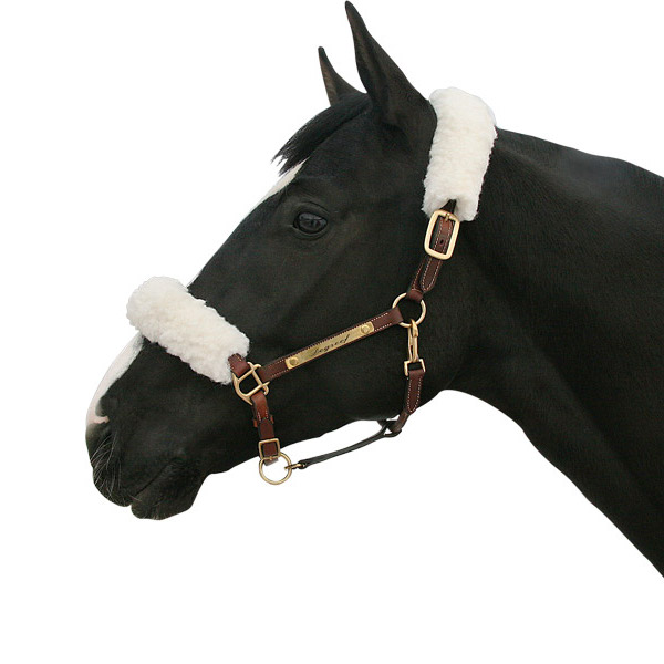 Back on Track Halfterschoner-Set weiß eine Größe für alle