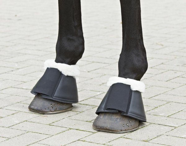 Busse Hufglocken Comfort mit Lammfell