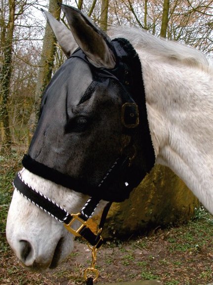 Kavalkade Fliegenmaske mit Ohren