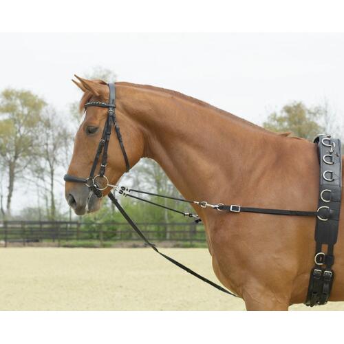 Elastische Ausbindezügel Warmblut schwarz