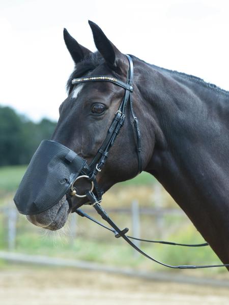 Busse Nüsternschutz FLY PROFESSIONAL