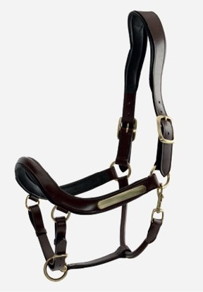 Horse Guard Lederhalfter