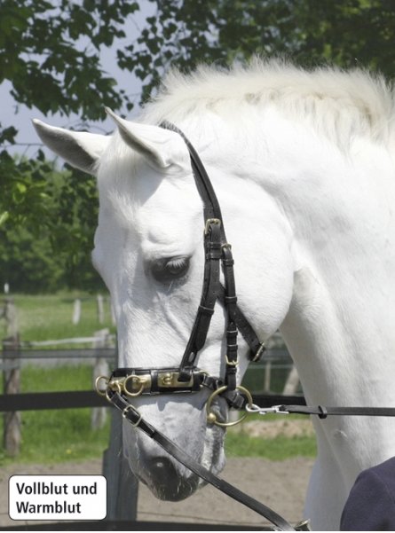 Busse Kappzaum Professional