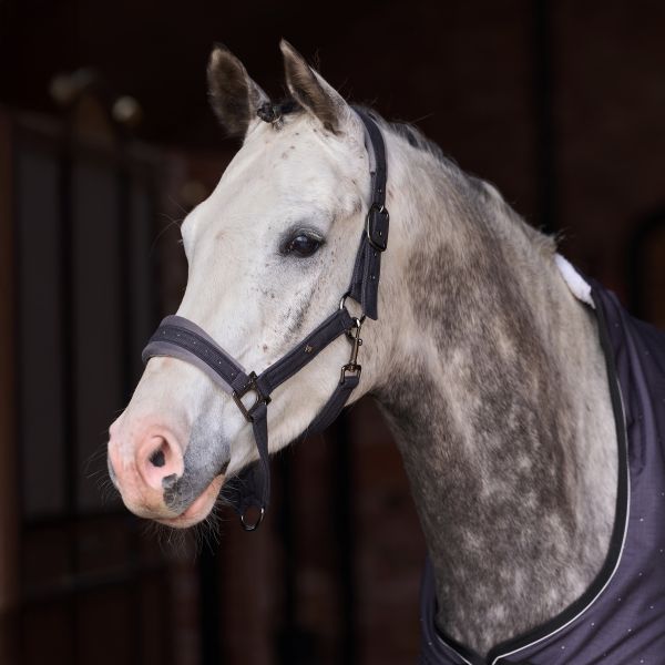 Imperial Riding Halfter IRHPenny Herringbone