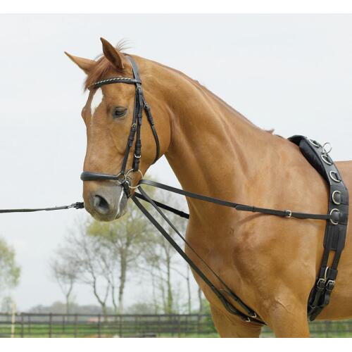 Busse Laufferzügel BASIC
