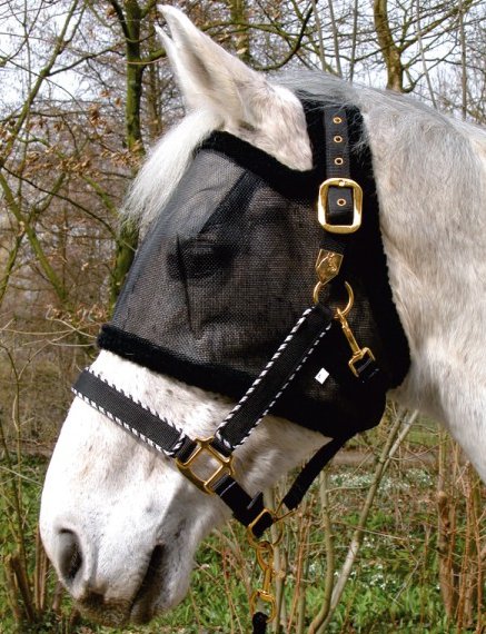 Kavalkade Fliegenmaske ohne Ohren