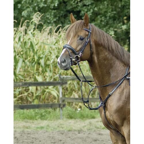 BUSSE Vorderzeug PREMIUM