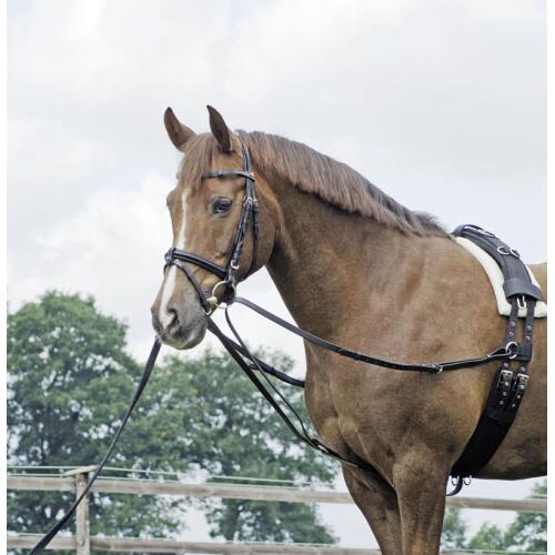 Busse Dreieckszügel Leder