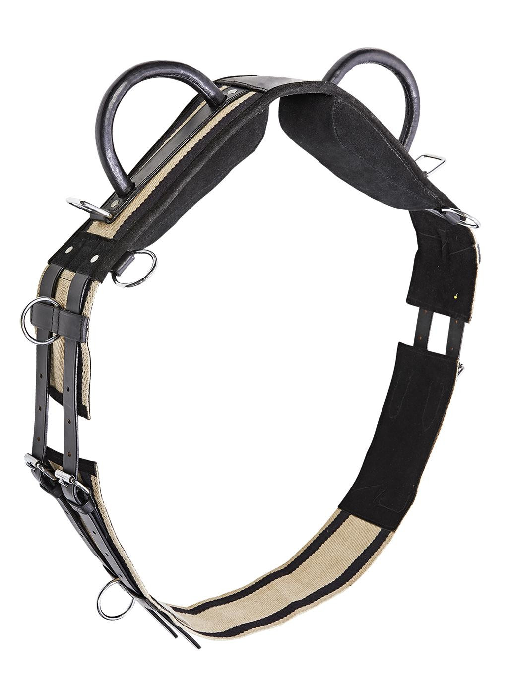 Busse Longiergurt Double