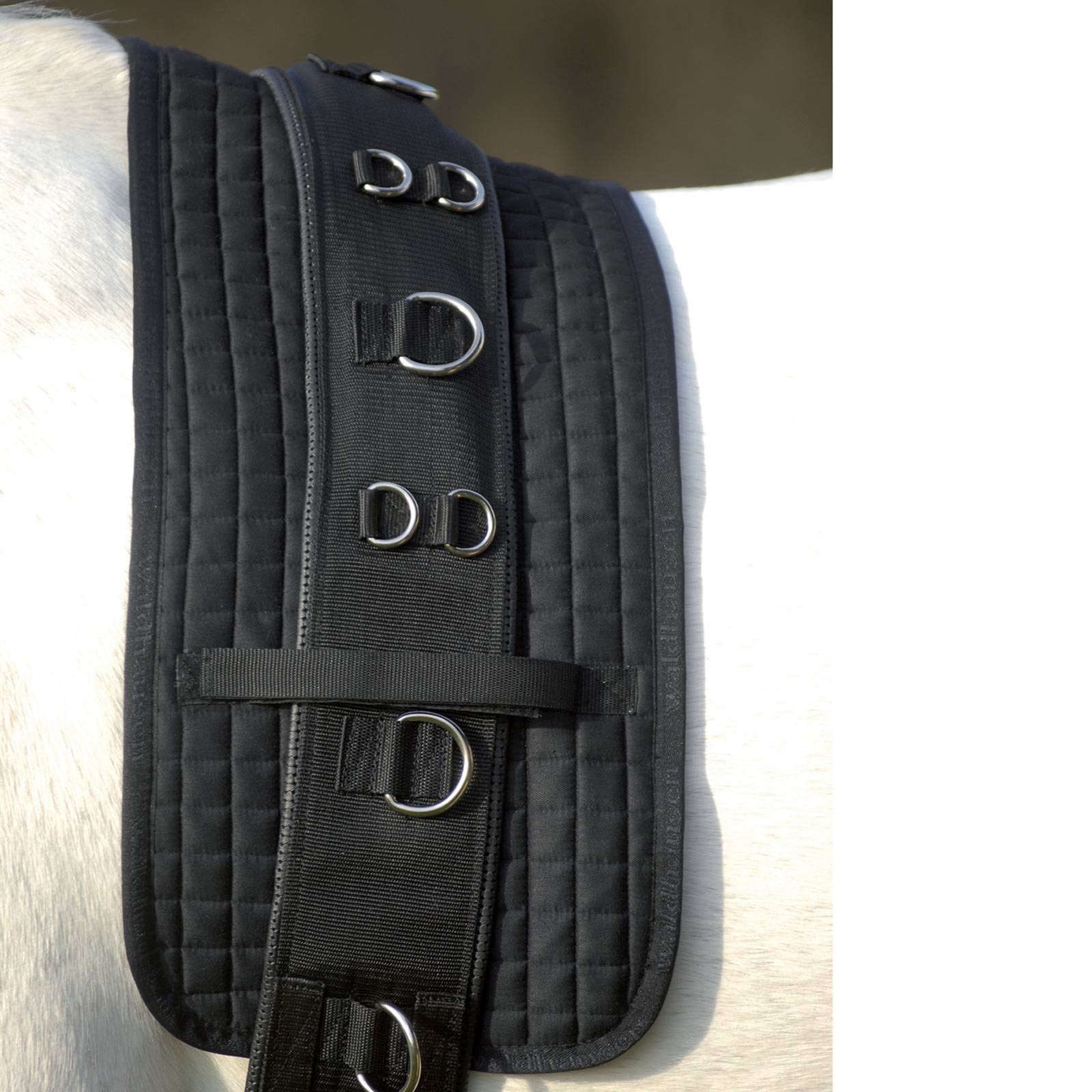 Waldhausen Longiergurt Unterlage