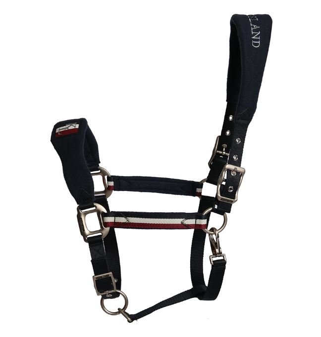 Kingsland Classic Halfter