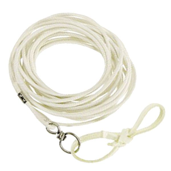 Fleck Longier-/Voltigierschlag mit Wirbel, Leder