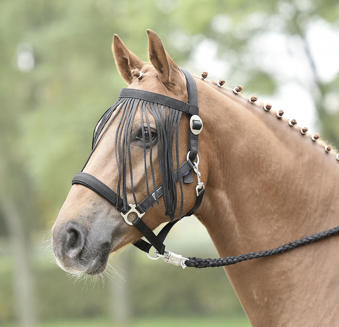 Busse Fliegenkordelband Visby II zum Kletten