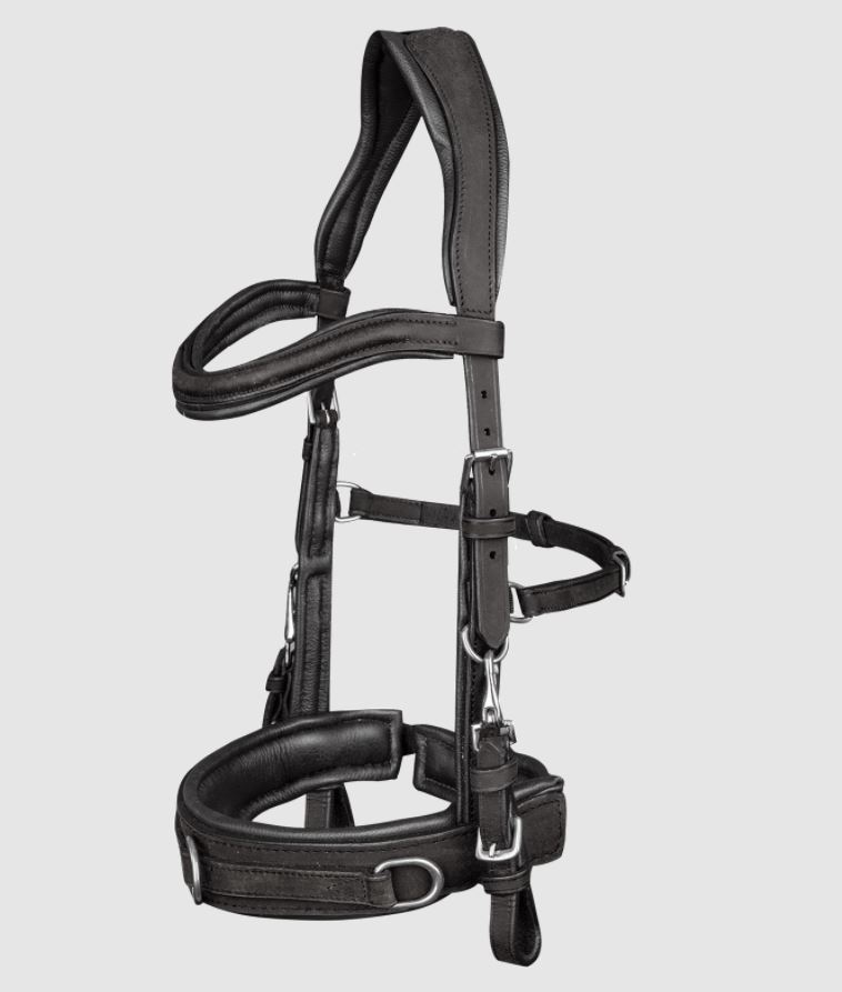 Waldhausen Lederkappzaum anatomic