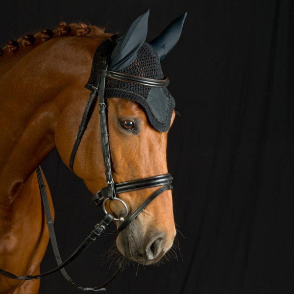 Kavalkade Fliegenhaube engmaschig