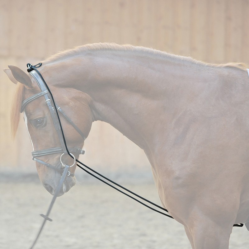 Kavalkade Halsverlängerer unisize schwarz