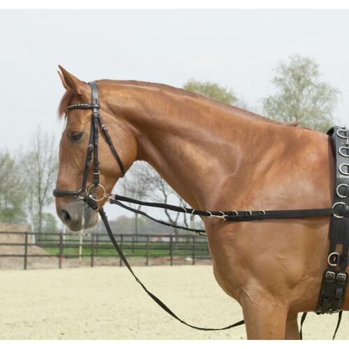 Ausbindezügel OESEN-STARR