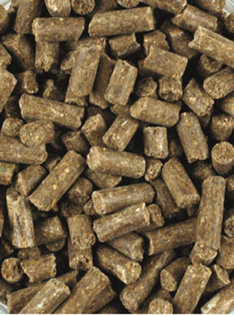 Atcom Zucht Vital 5kg